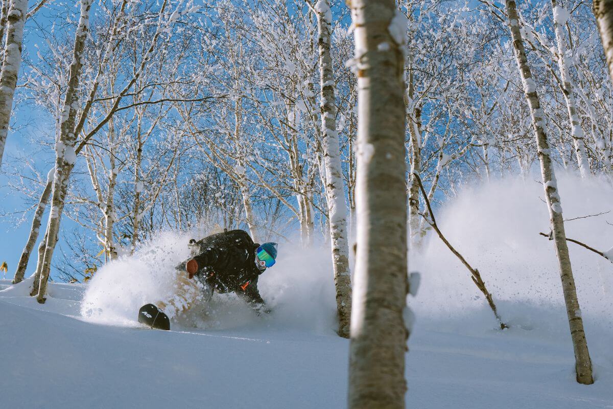 Freeride Snowboarding Hokkaido - Japow