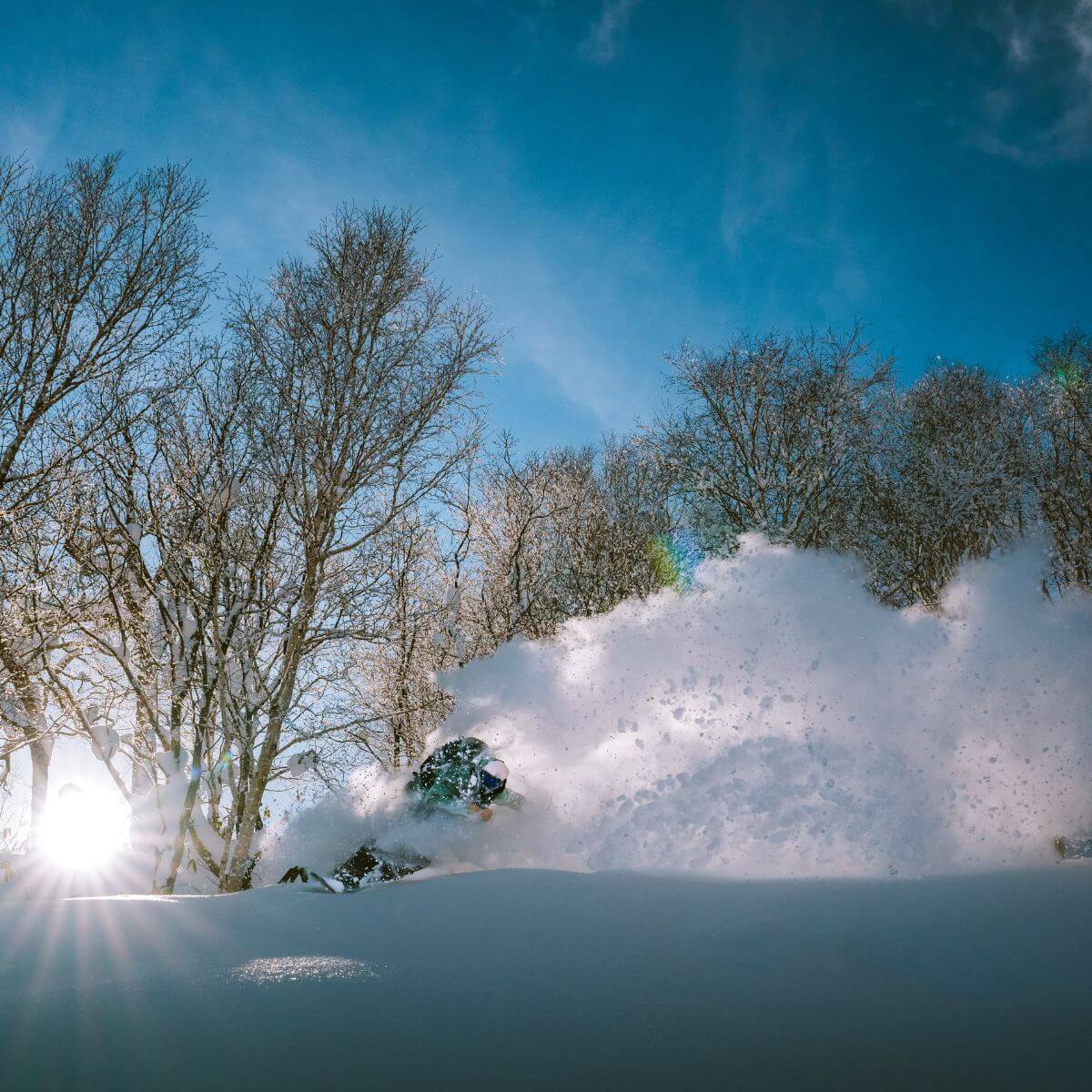 Freeride Snowboarding Hokkaido