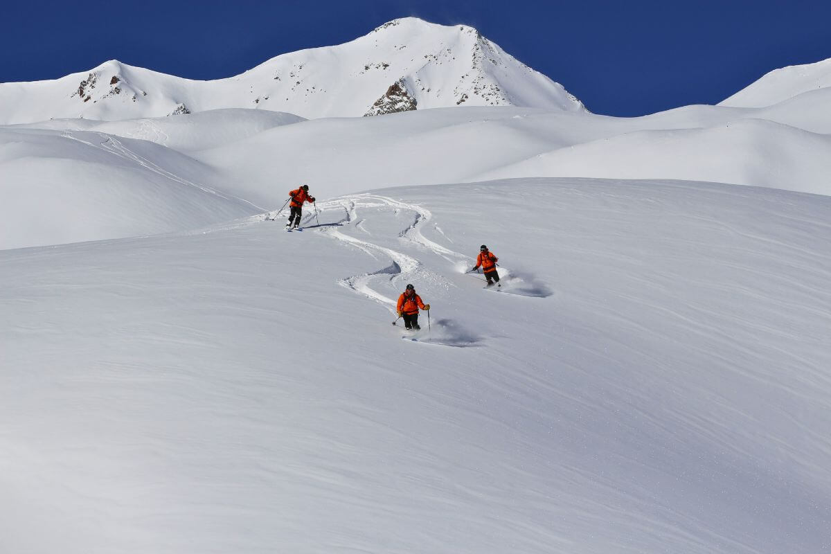 Heliskiing in the Grand Caucasus in Georgia - Skiers