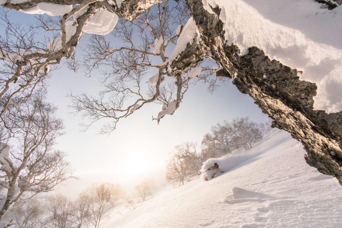 Catskiing in Hokkaido Japan - Iwanai