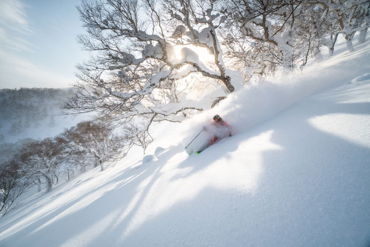 Catskiing in Hokkaido Japan