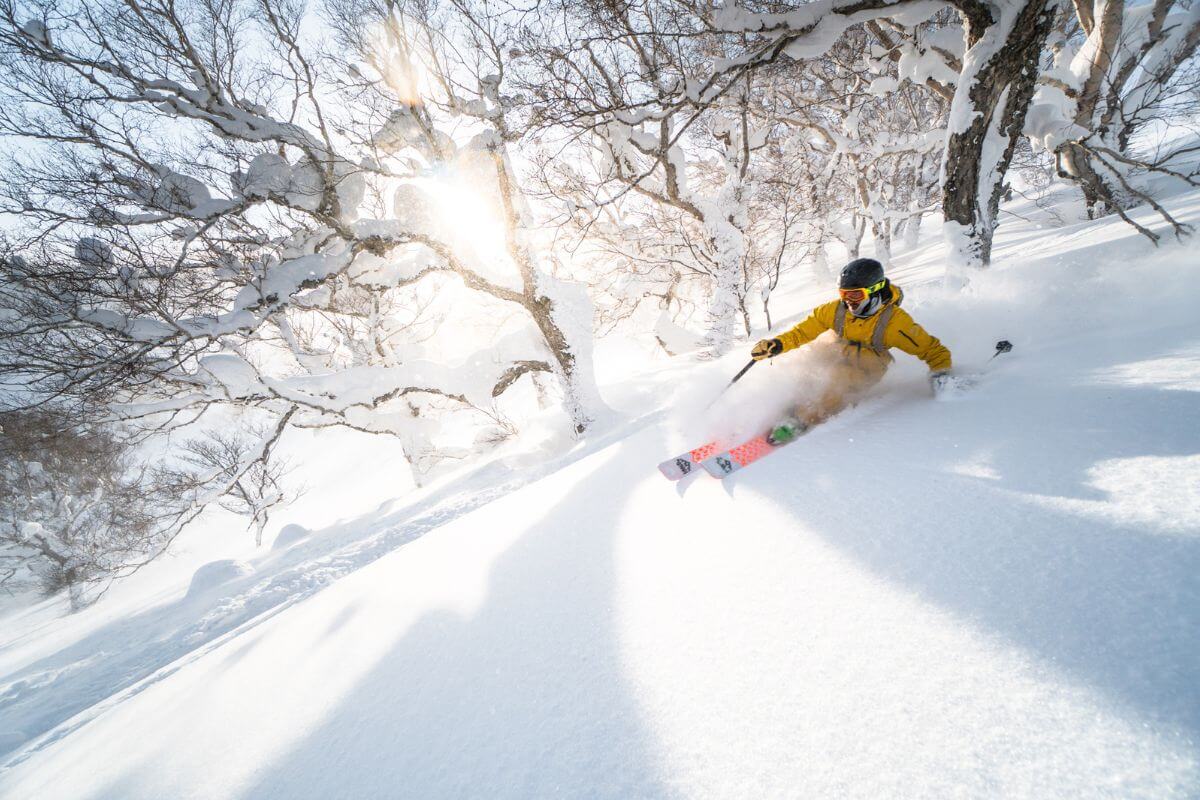 Catskiing in Hokkaido Japan