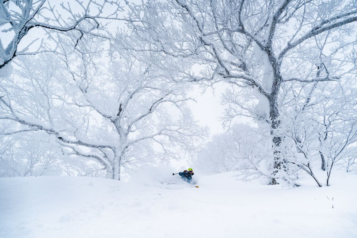 Catskiing in Hokkaido Japan