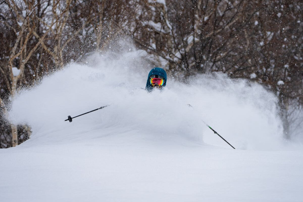 Catskiing in Hokkaido Japan