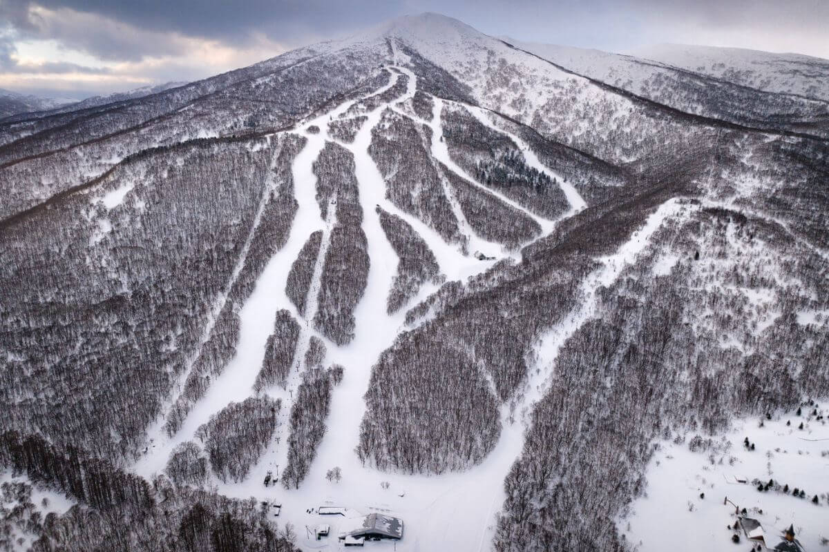 Catskiing in Hokkaido Japan