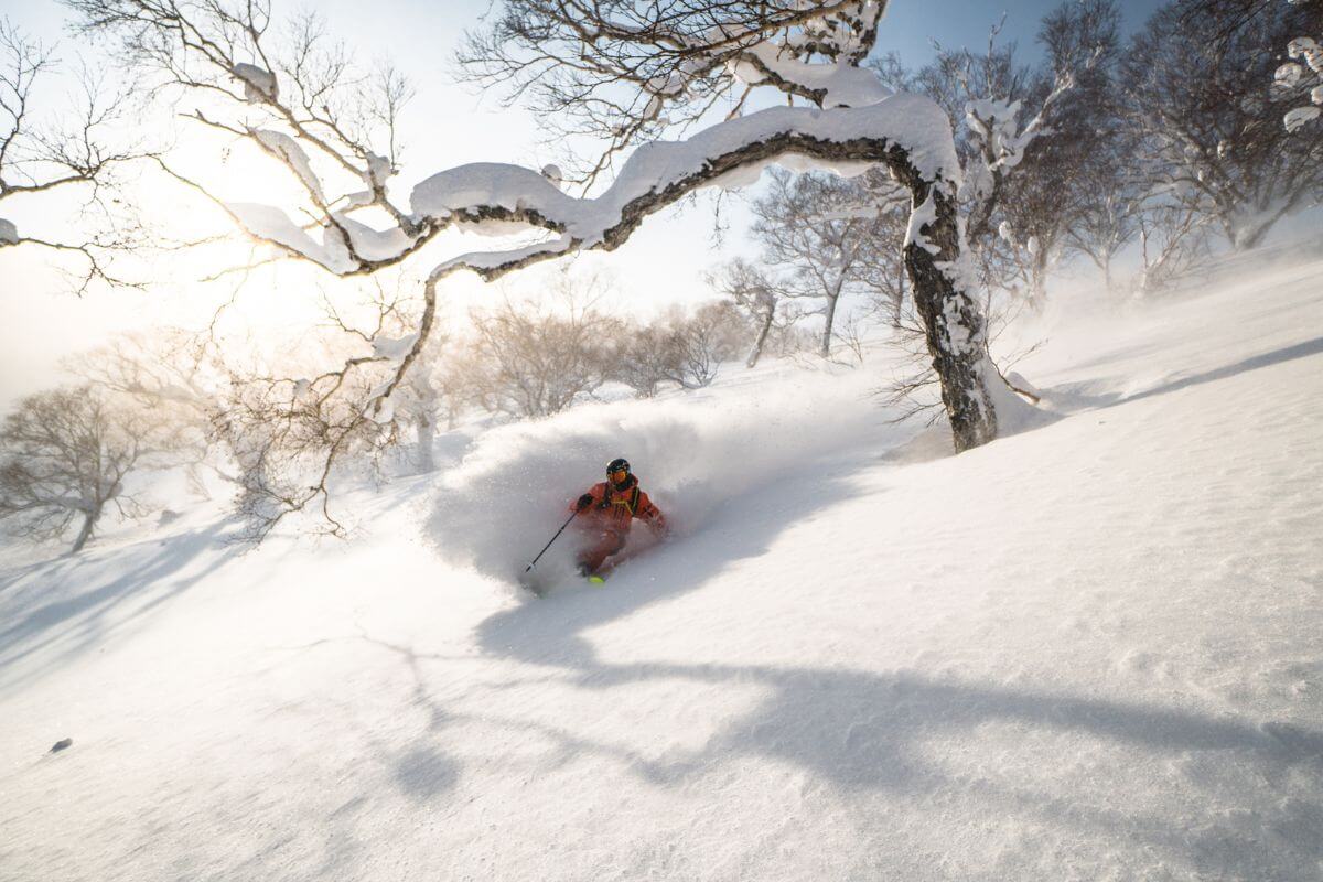 Catskiing in Hokkaido Japan