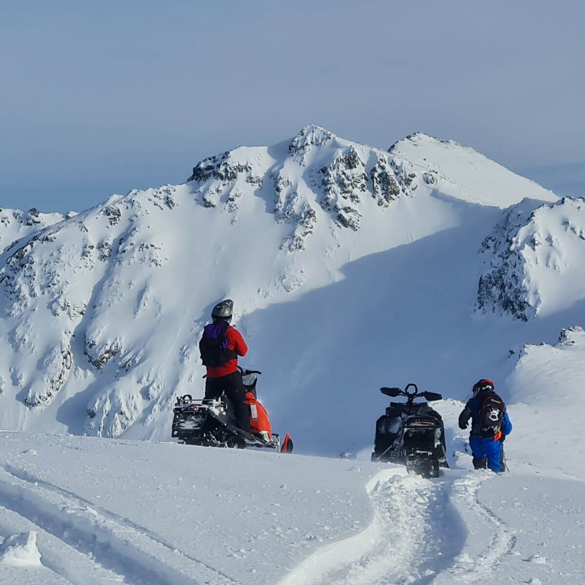 Sled-Skiing in Argentina