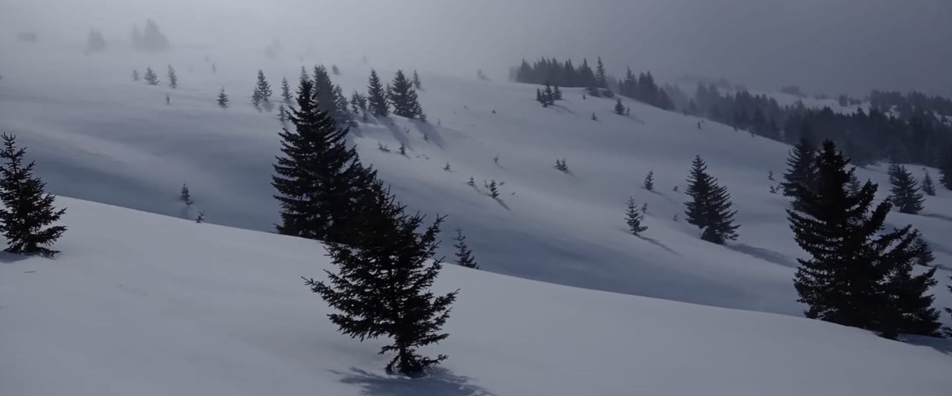 Catski Freeride Macedonia