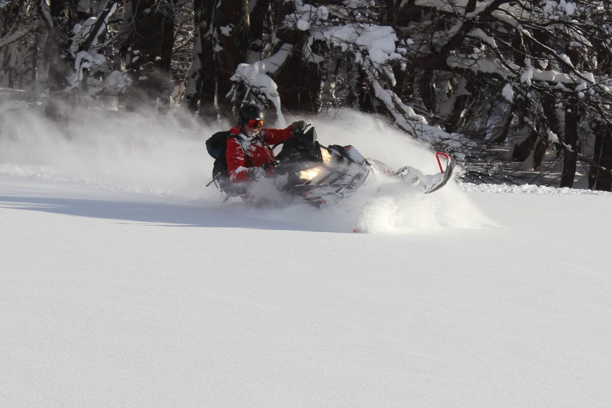 Sled-Skiing Argentina