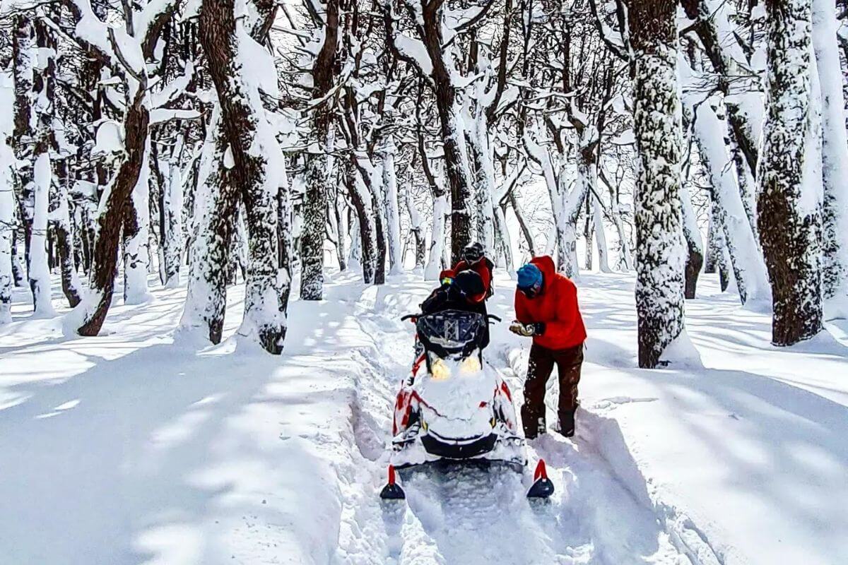 Sled-Skiing in Argentina