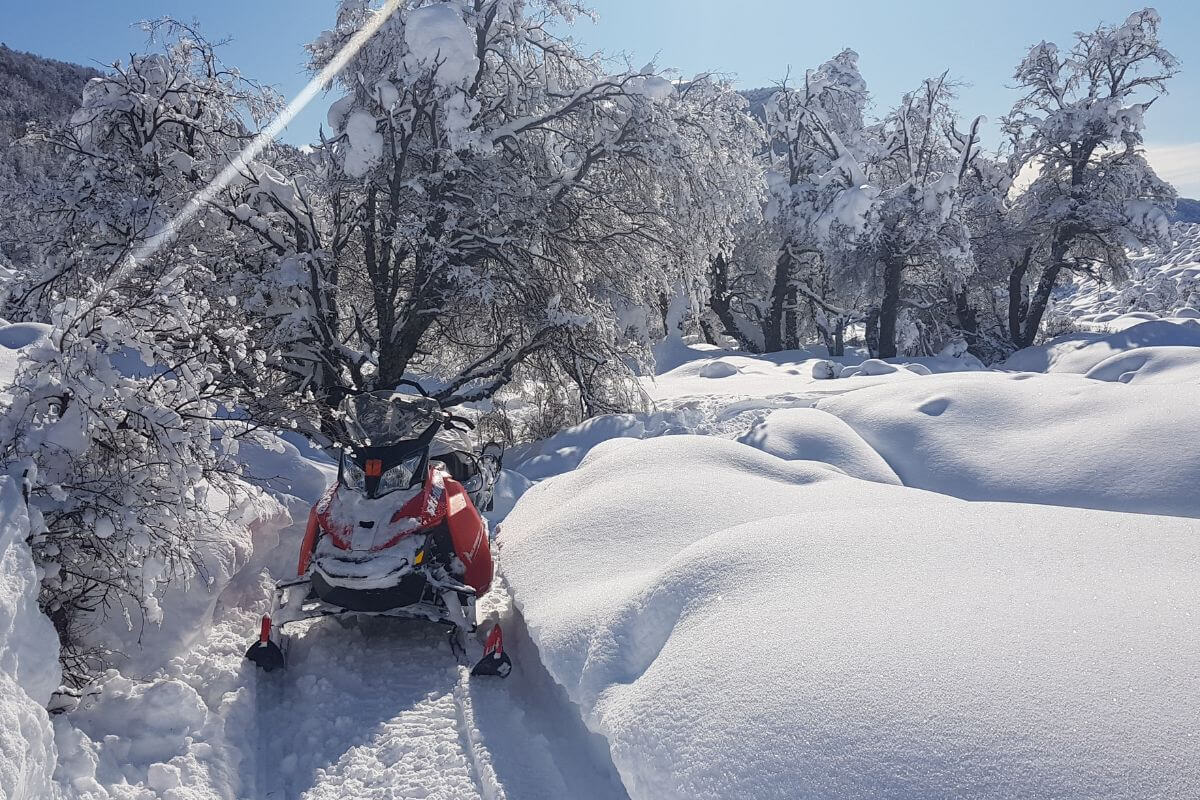 Sled-Skiing in Argentina