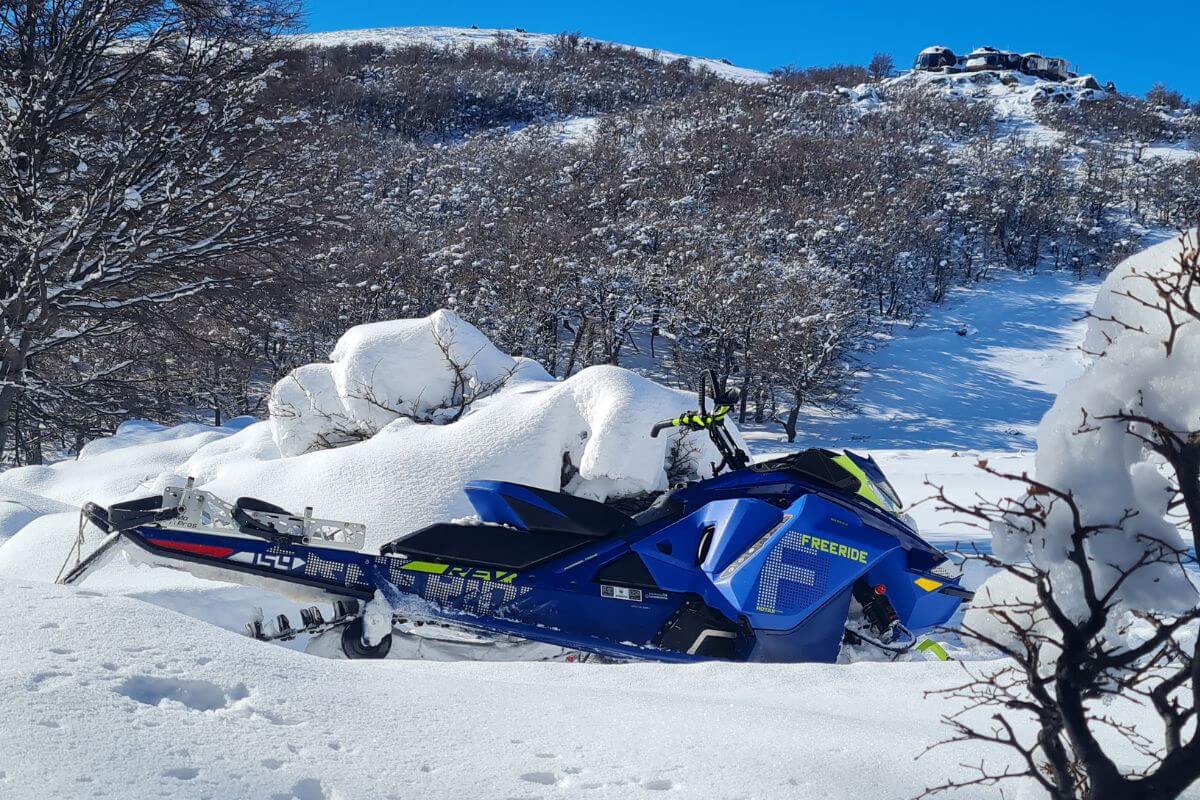 Sled-Skiing