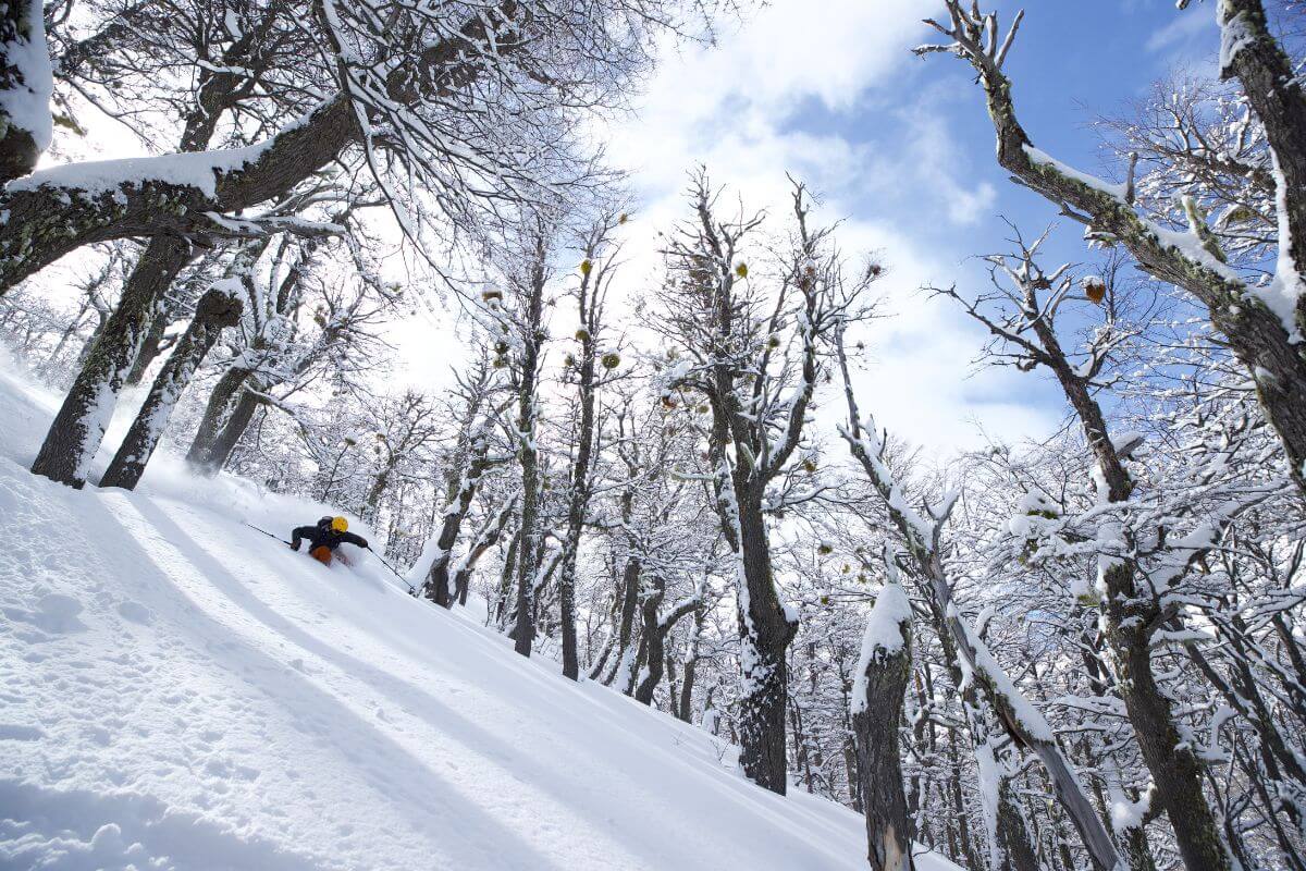 Sled-Skiing Argentina