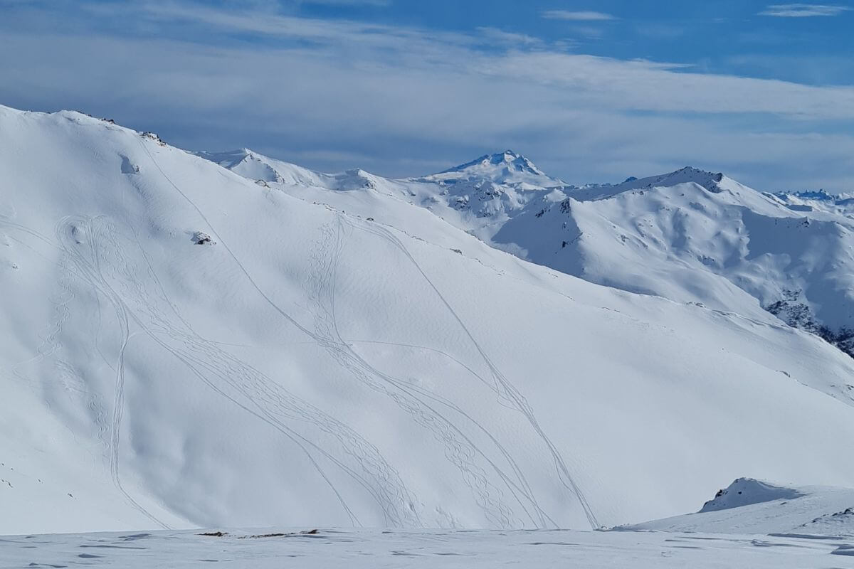 Sled-Skiing Argentina