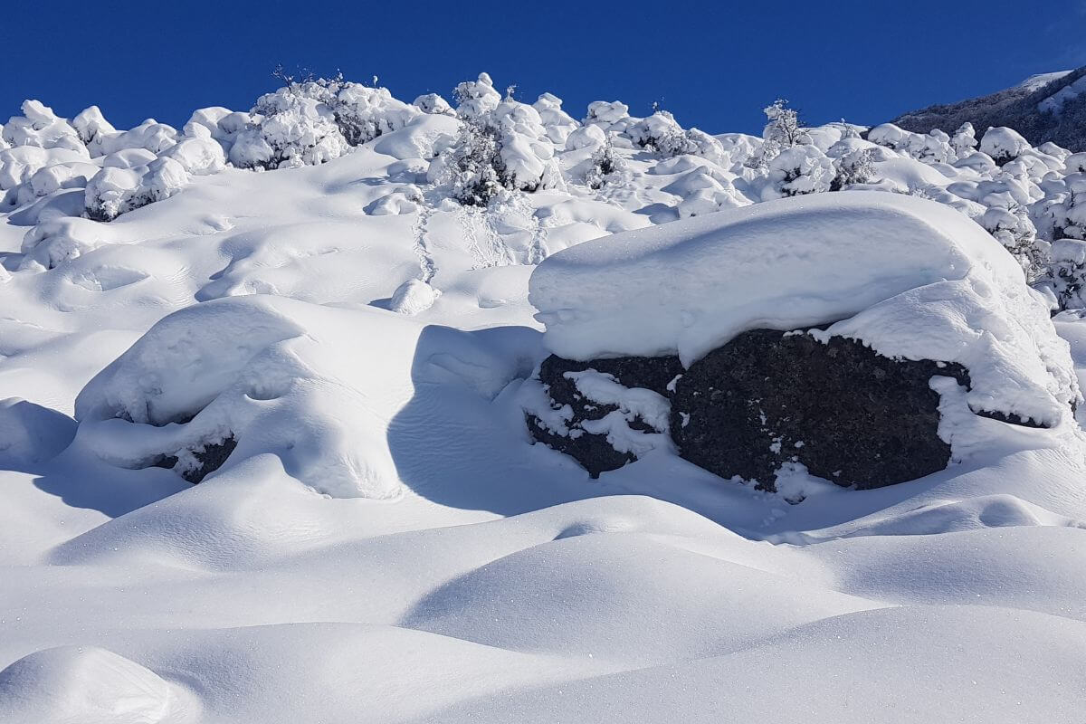 Sled-Skiing Argentina