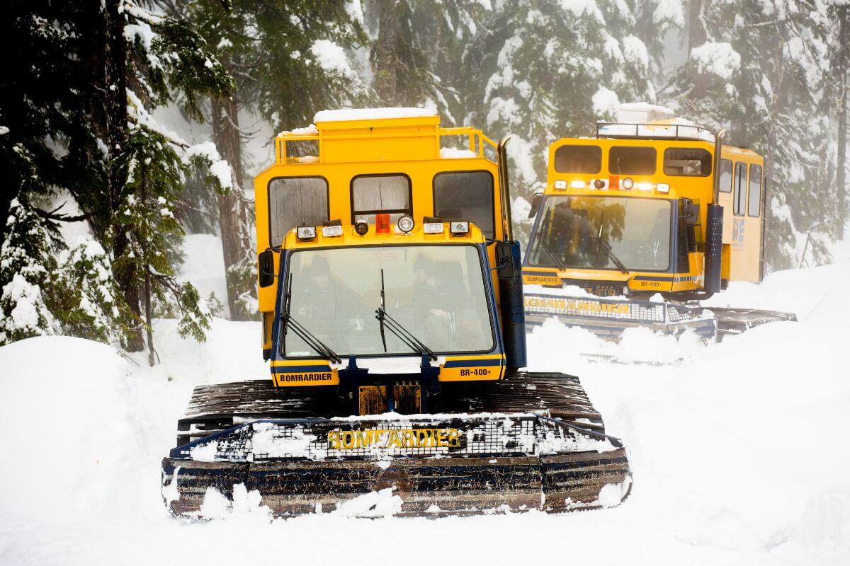 Catski British Columbia