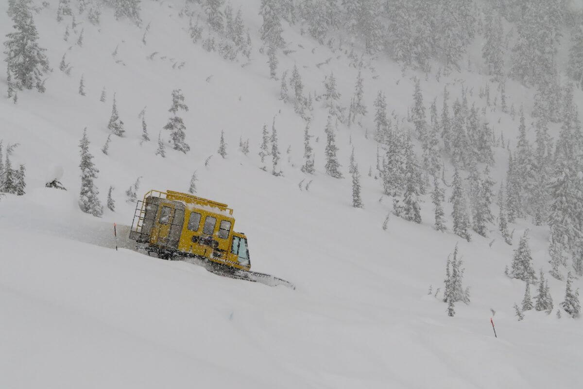 Catski British Columbia