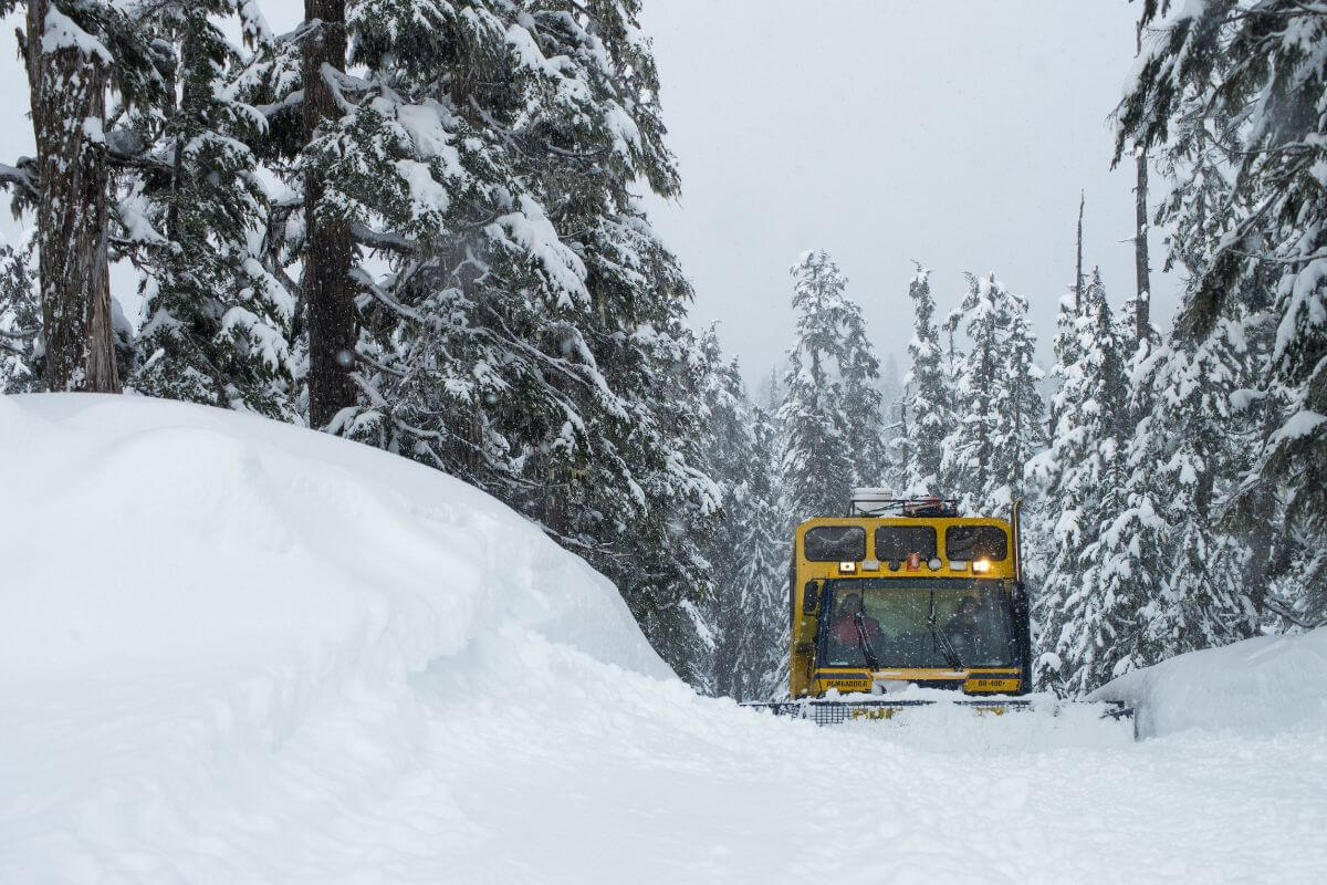 Catski British Columbia