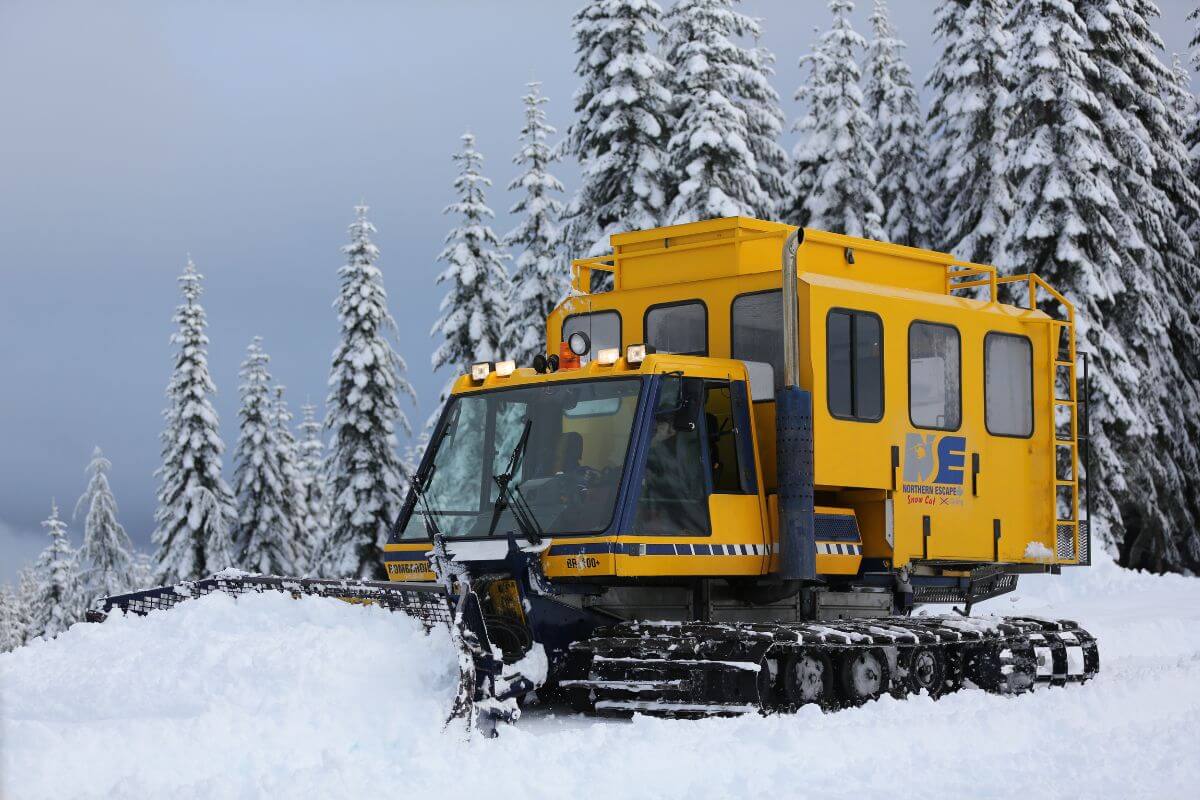 Catski British Columbia