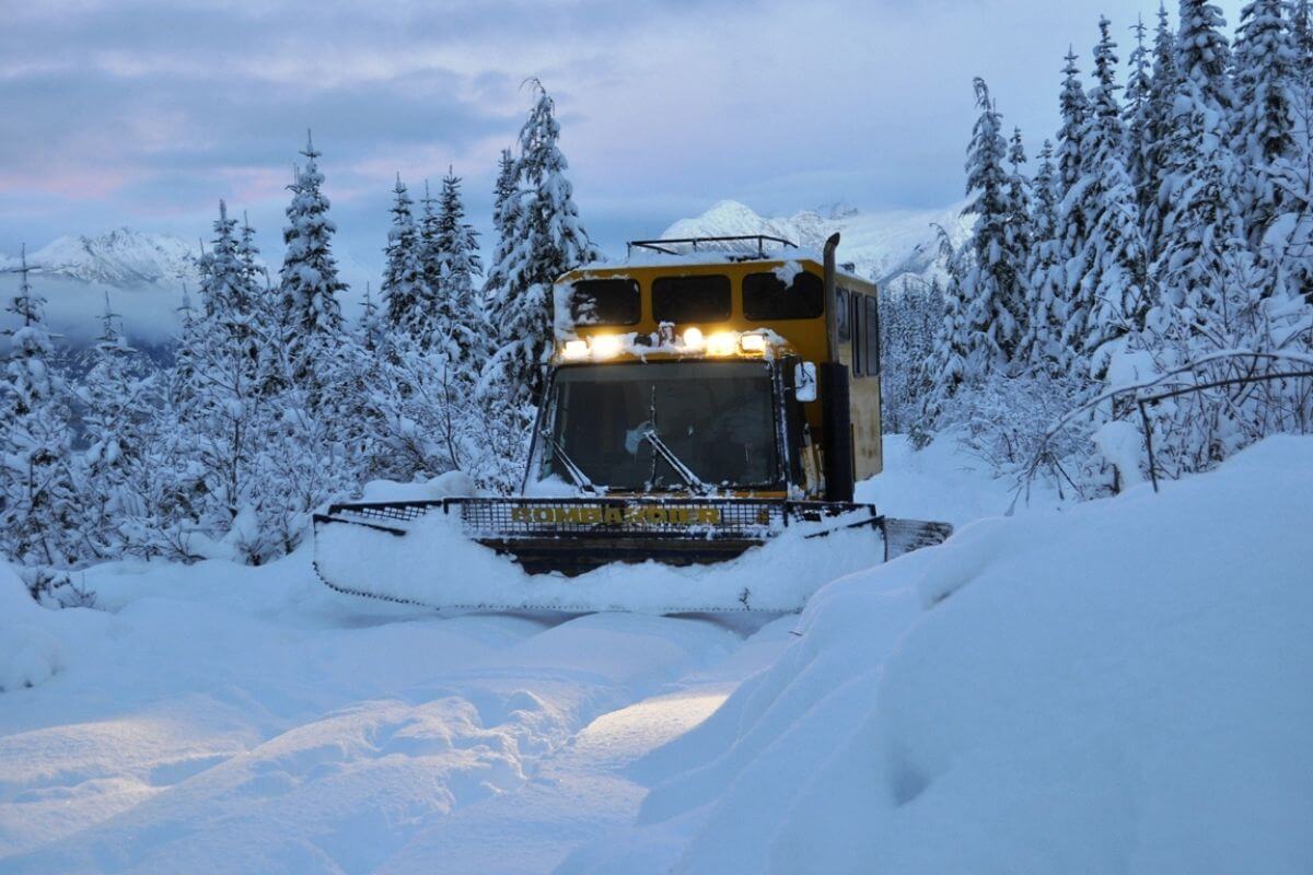 Catski British Columbia