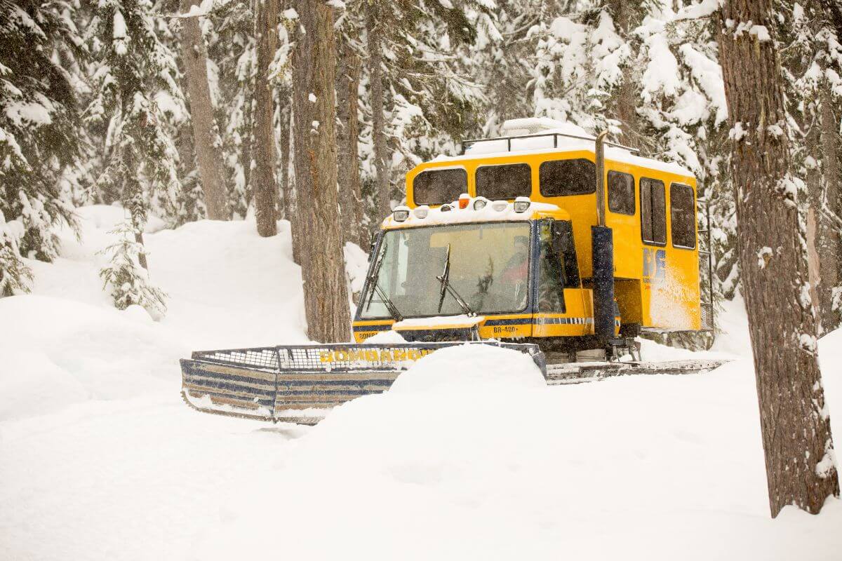 Catski British Columbia