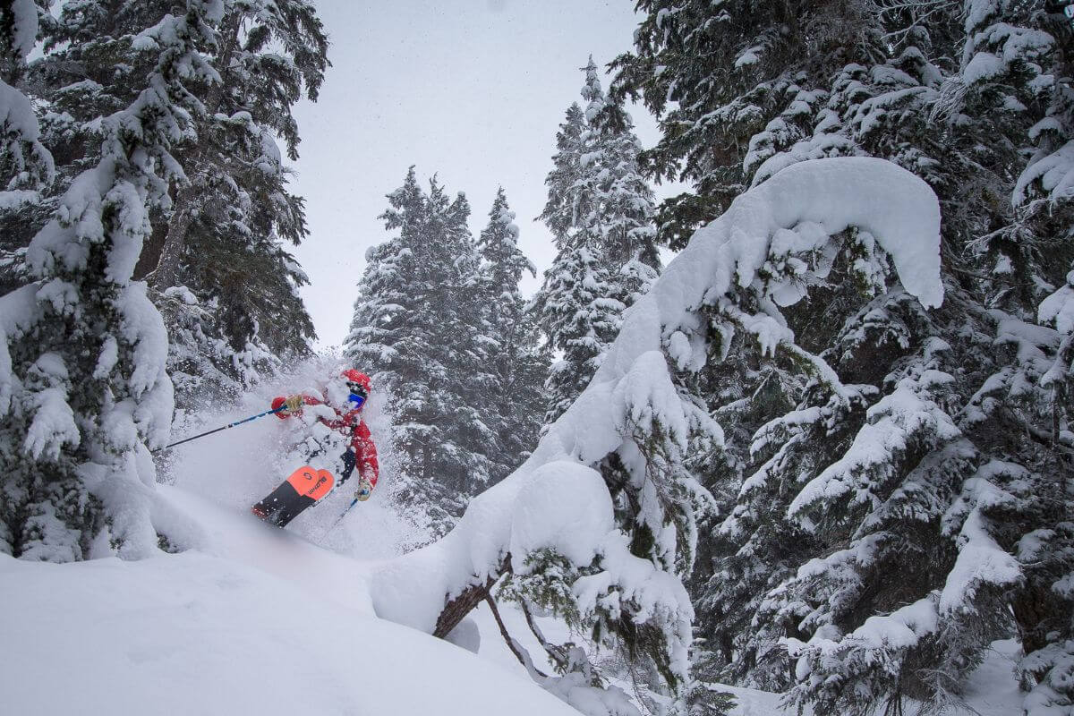 Freeride Heliski in British Columbia