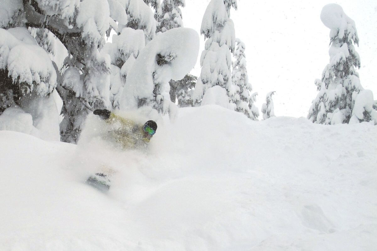 Freeride Heliski in British Columbia