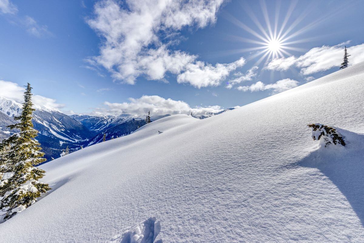 Freeride Heliski in British Columbia