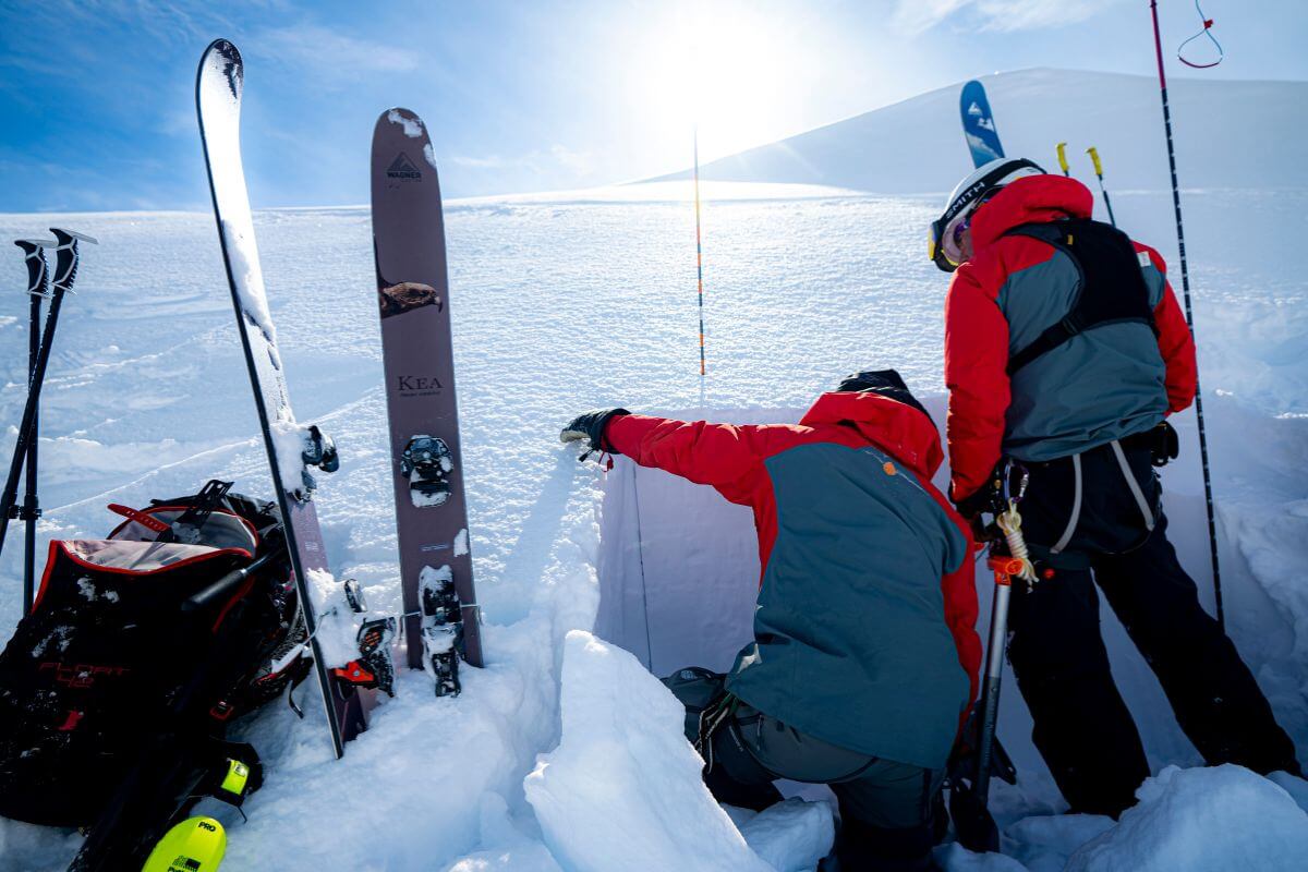 Tordrillo Mountain Lodge Alaska Heliski