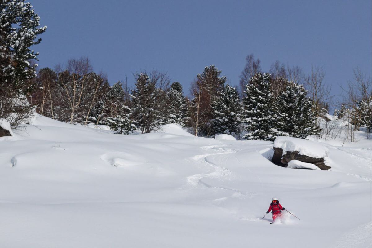 Altay Mountain Lodge & Yurts Freeride