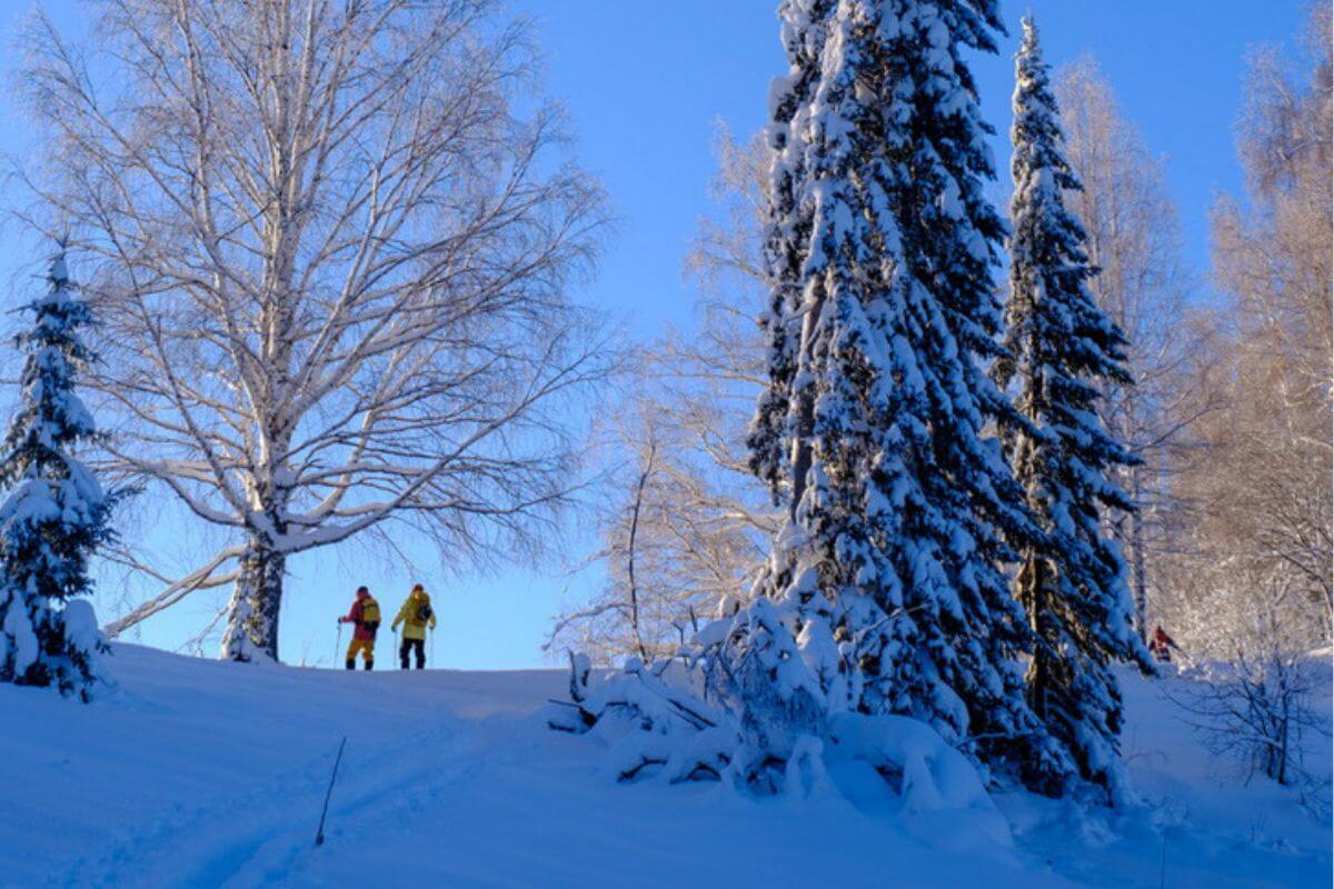 Altay Mountain Lodge & Yurts Skitouring and Splitboarding