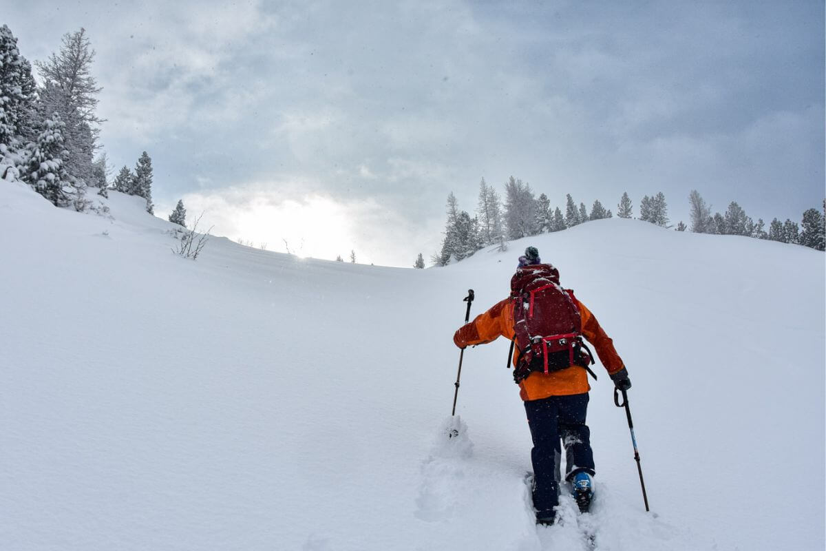 Altay Mountain Lodge & Yurts Skitouring and Splitboarding