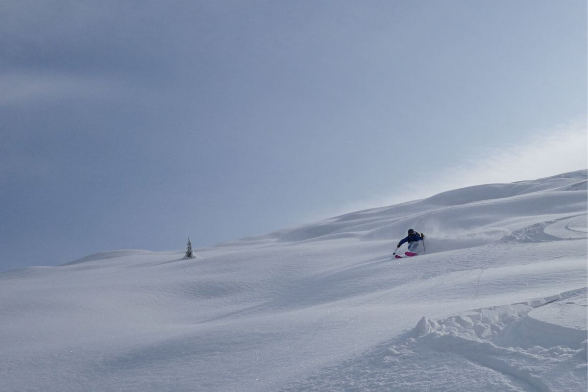 Altay Mountain Lodge & Yurts Freeride