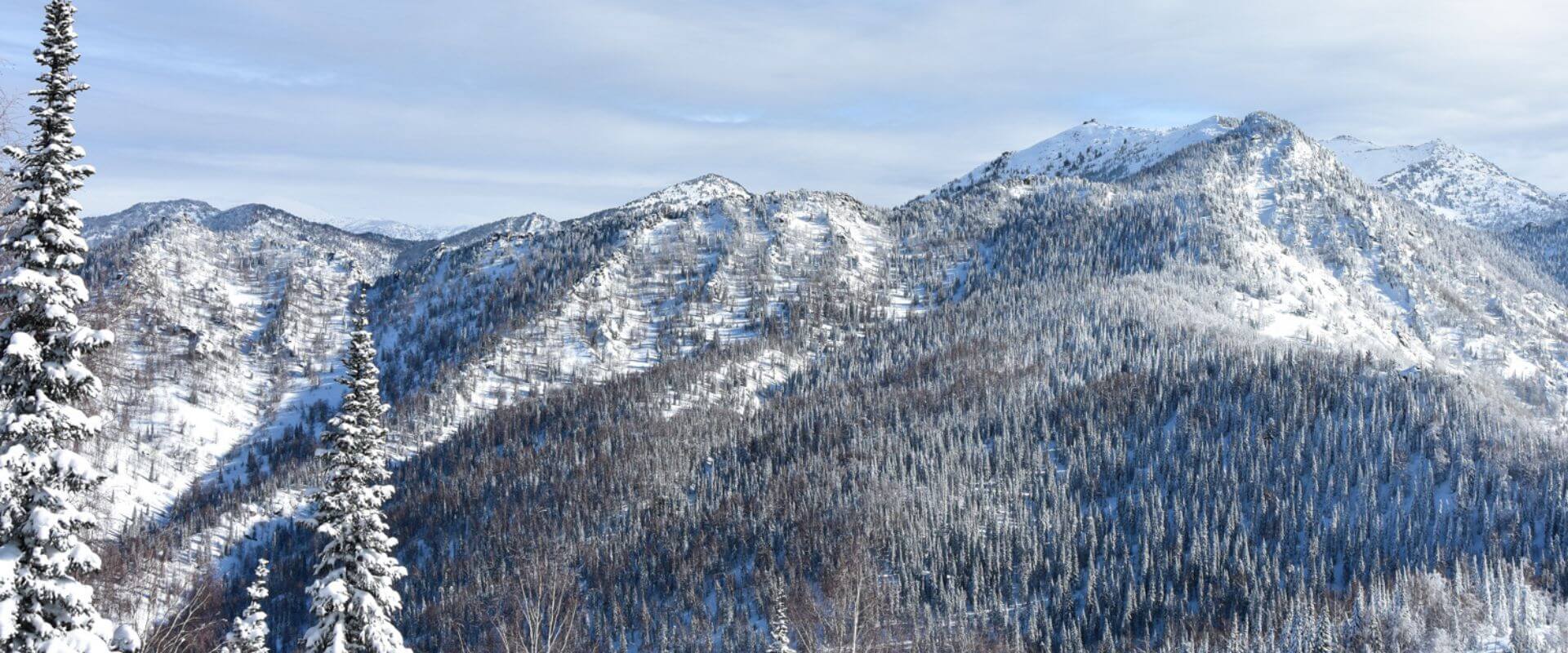 Altay Mountain Lodge & Yurts Freeride Trips