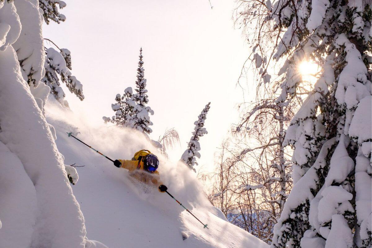 Altay Mountain Lodge & Yurts Freeride