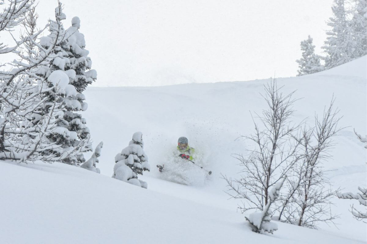 Altay Mountain Lodge & Yurts Freeride