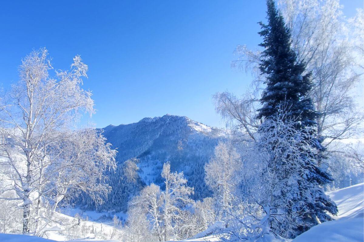 Altay Mountain Lodge & Yurts Freeride