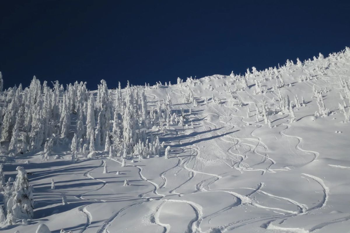 Catskiing Canada