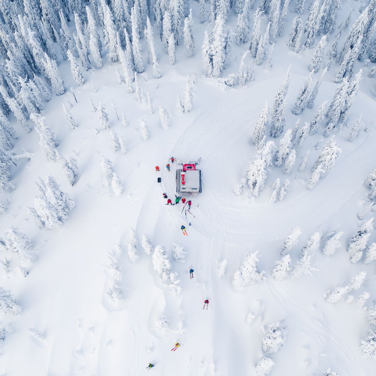 Big Red snowcat skiing