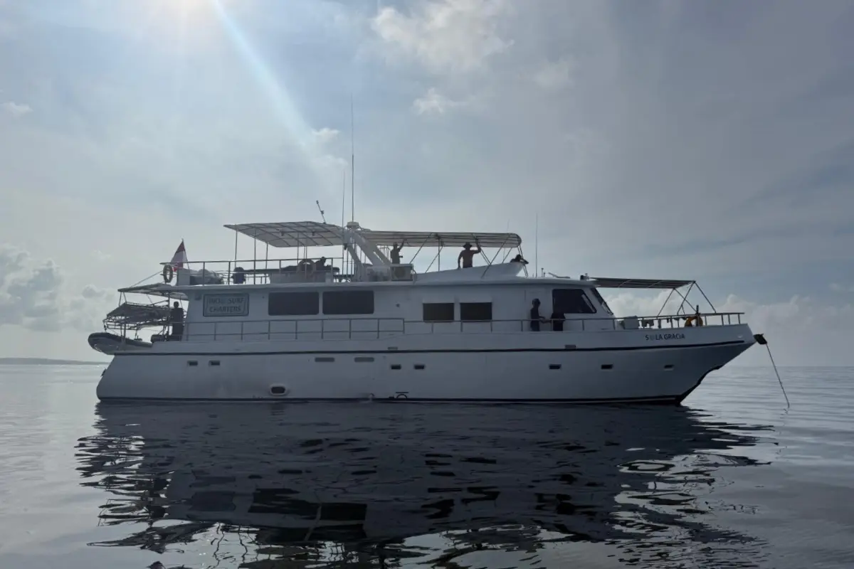 White charter boat anchored on calm ocean water