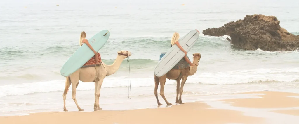 visitors combine camel riding on the beach