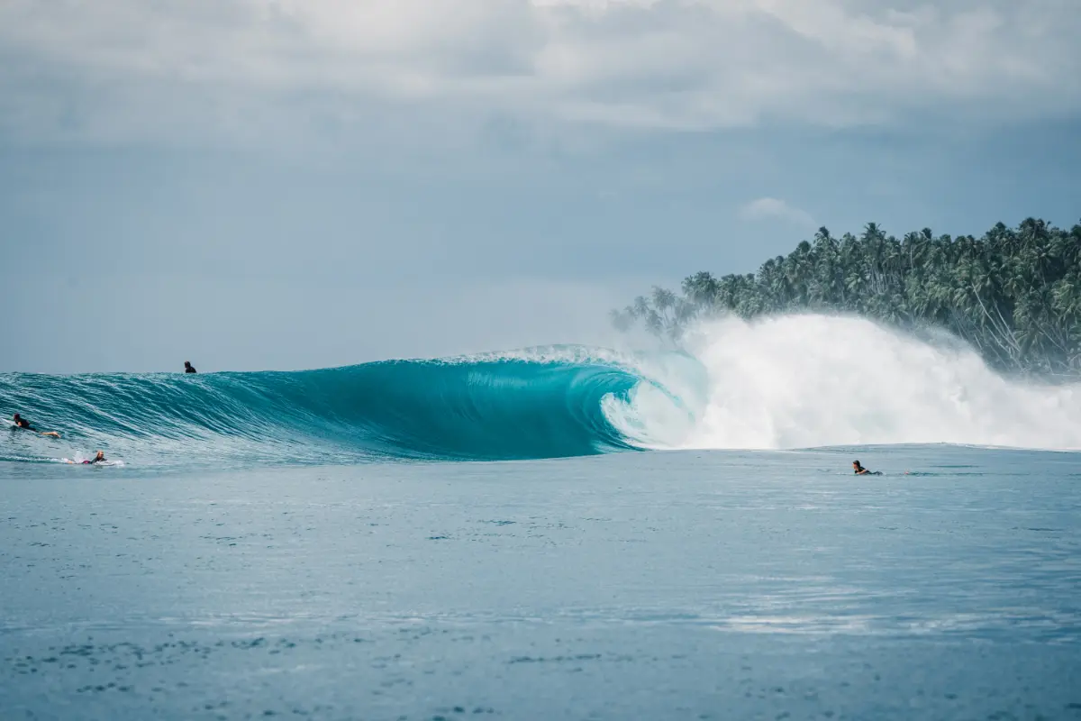 peoples enjoying on sea waves