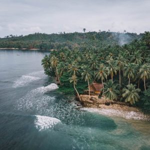 Driftwood Mentawai