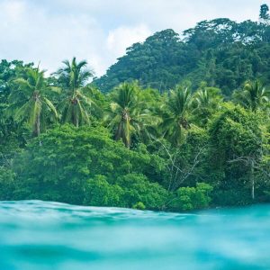 Rise Up Surf Costa Rica