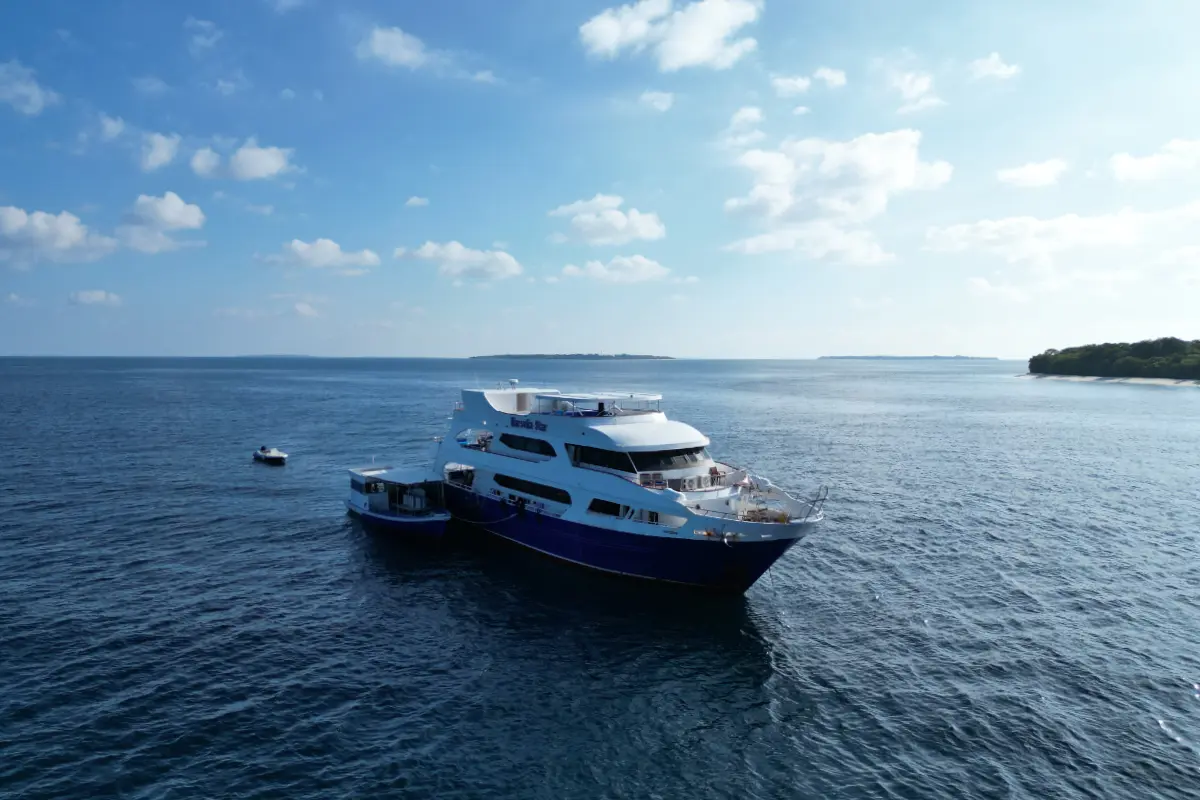 yacht in a large sea
