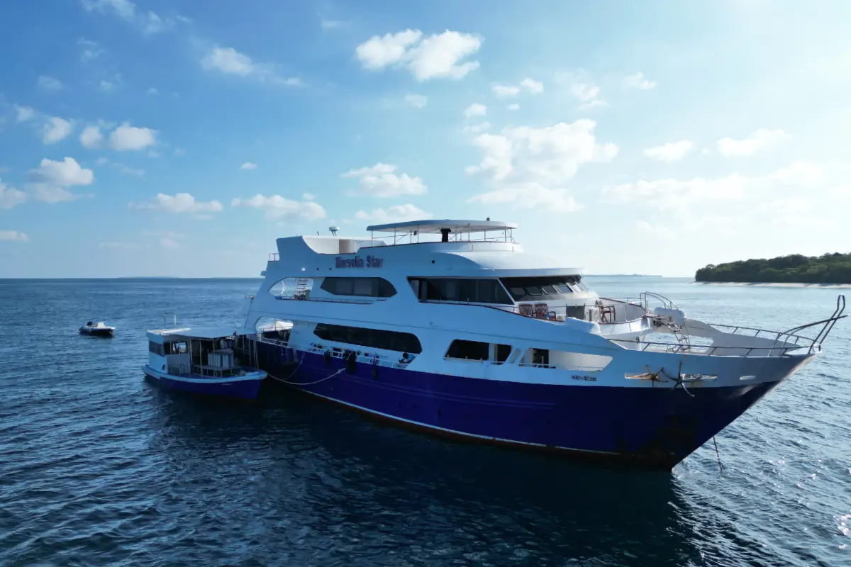 left side view of yacht